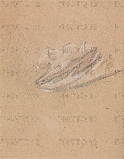 Verona Sketchbook: Head and shoulder with drapery (page 14), 1760. Francesco Lorenzi (Italian, 1723-1787). Black chalk with white heightening; sheet: 32 x 23 cm (12 5/8 x 9 1/16 in.).