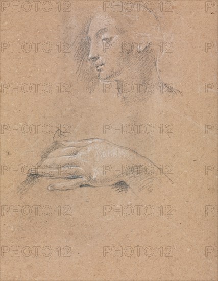 Verona Sketchbook: Female head and left hand (page 42), 1760. Francesco Lorenzi (Italian, 1723-1787). Black chalk with white heightening ; sheet: 32 x 23 cm (12 5/8 x 9 1/16 in.).