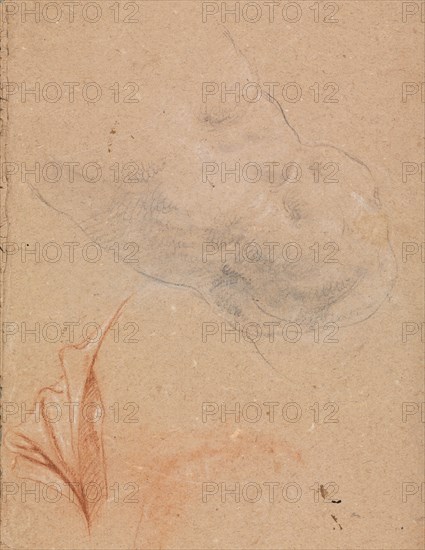 Verona Sketchbook: Nude male torso with drapery (page 16), 1760. Francesco Lorenzi (Italian, 1723-1787). Black and red chalk with white heightening; sheet: 32 x 23 cm (12 5/8 x 9 1/16 in.).