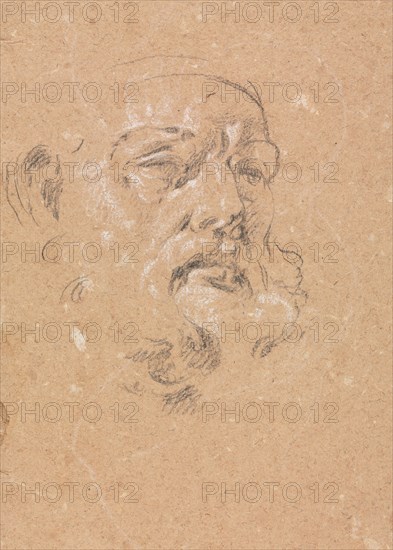 Verona Sketchbook: Male head (page 76), 1760. Francesco Lorenzi (Italian, 1723-1787). Black chalk with white heightening ; sheet: 32 x 23 cm (12 5/8 x 9 1/16 in.).