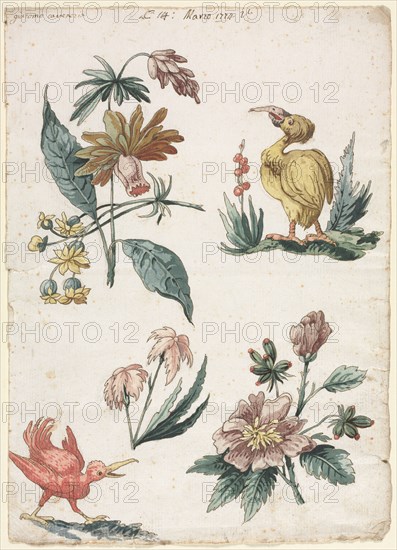 Floral Designs with Two Birds, 1774. Giacomo Cavenezia (Italian). Pen and brown ink, brush and brown wash, gouache and watercolor, over traces of black chalk; sheet: 31.7 x 22.8 cm (12 1/2 x 9 in.).