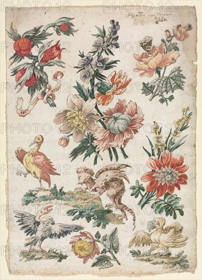 Floral Designs with Birds and Griffon, 1784. Giacomo Cavenezia (Italian). Pen and brown ink, brush and brown amd gray wash, watercolor and gouache; sheet: 31.9 x 22.7 cm (12 9/16 x 8 15/16 in.).
