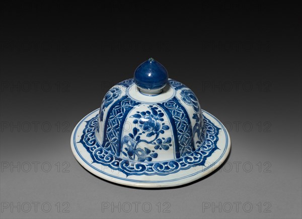 Vase with Cover (lid), Qing dynasty (1644-1912), Kangxi reign (1661-1722). China, Jiangxi province, Jingdezhen kilns, Qing dynasty (1644-1912), Kangxi reign (1661-1722). Porcelain with underglaze blue decoration; lid: 14.2 cm (5 9/16 in.).