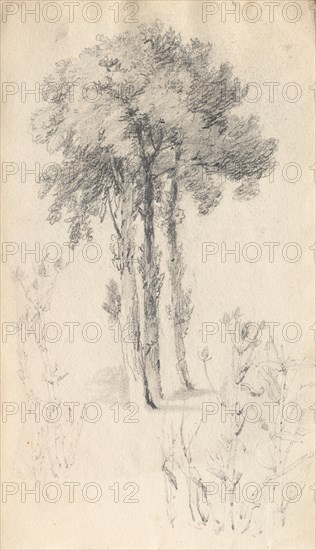 Sketchbook: Tree Study, 1814. Samuel Prout (British, 1783-1852). Graphite ; each page: 13.5 x 23.4 cm (5 5/16 x 9 3/16 in.).