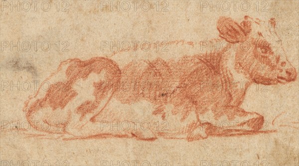 Cow, second half 1600s. Johann Heinrich Roos (German, 1631-1685). Red chalk; framing lines in brush and black ink; sheet: 6.7 x 11.1 cm (2 5/8 x 4 3/8 in.); secondary support: 6.7 x 11.1 cm (2 5/8 x 4 3/8 in.).