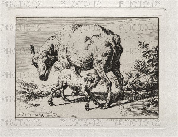 The Ewe with Two Lambs, 1850. Charles Meryon (French, 1821-1868). Etching