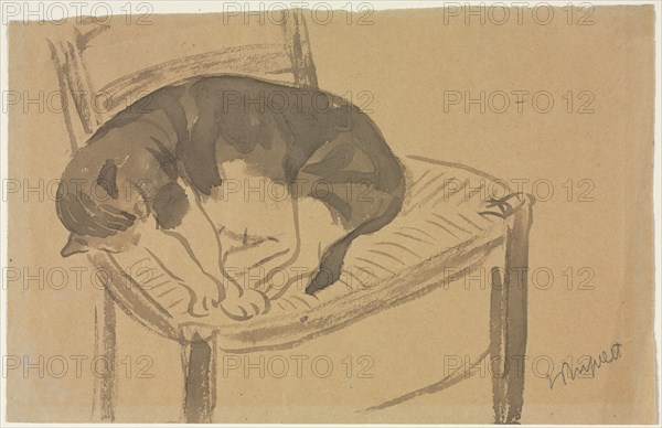 Sleeping Cat, first third 1900s. Jane Poupelet (French, 1878-1932). Brush and gray wash; sheet: 16.7 x 25.8 cm (6 9/16 x 10 3/16 in.).