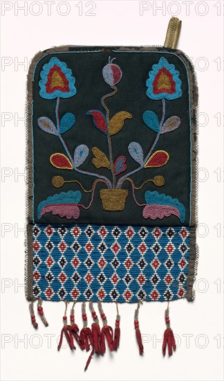 Bag, 1850-1900. Plains or Northeastern Woodlands, Nehiyawak (Cree) or Metis People. Beadwork on cloth; overall: 30.5 x 20.4 cm (12 x 8 1/16 in.)