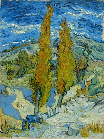 The Poplars at Saint-Rémy, 1889. Vincent van Gogh (Dutch, 1853-1890). Oil on fabric; framed: 81 x 66.7 x 7.3 cm (31 7/8 x 26 1/4 x 2 7/8 in.); unframed: 61.6 x 45.7 cm (24 1/4 x 18 in.).