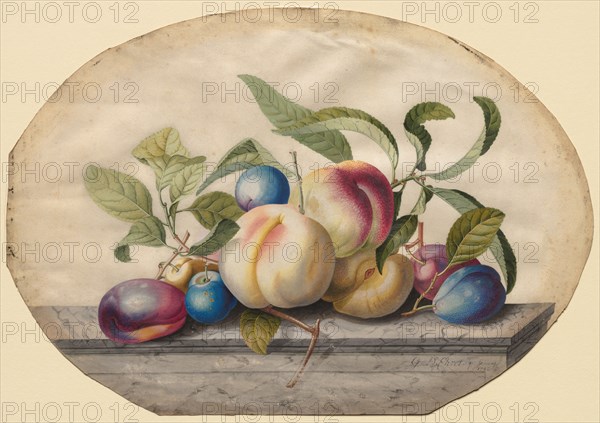 Fruit Arrangement: Peaches and Plumbs on a Slab of Marble, 1742. Georg Dionysius Ehret (German, 1708-1770). Watercolor; sheet: 27.5 x 39.5 cm (10 13/16 x 15 9/16 in.).
