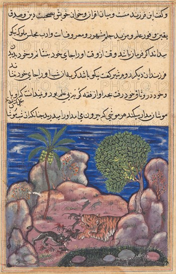 Page from Tales of a Parrot (Tuti-nama): Fifteenth night: The cat attacks the mice which disturb the lion, 1558-1560. India, Mughal court, 16th century. Opaque watercolor, ink, and gold on paper;