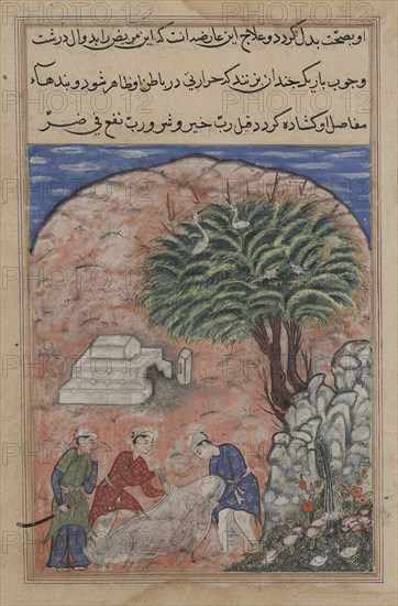 Page from Tales of a Parrot (Tuti-nama): Twentieth night: The suitors ...