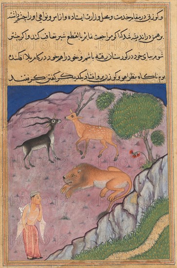 Page from Tales of a Parrot (Tuti-nama): Twenty-first night: The Brahman comes upon a lion who has a deer and a gazelle as his viziers, c. 1560. India, Mughal, Reign of Akbar, 16th century. Opaque watercolor, ink and gold on paper;