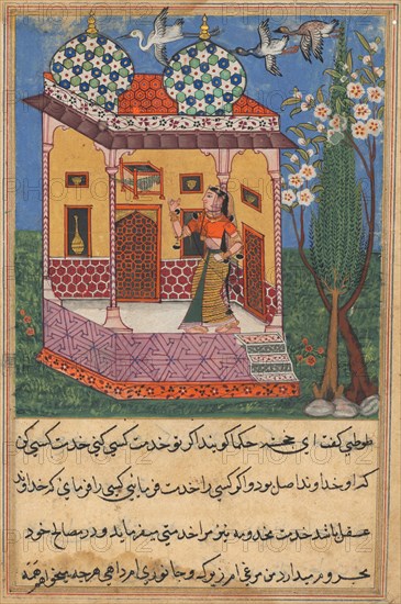 Page from Tales of a Parrot (Tuti-nama): Twenty-sixth night: The parrot addresses Khujasta at the beginning of the twenty-sixth night, c. 1560. India, Mughal, Reign of Akbar, 16th century. Opaque watercolor, ink and gold on paper;