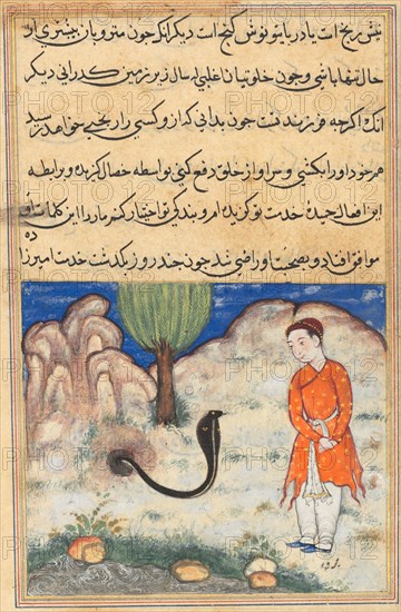 Page from Tales of a Parrot (Tuti-nama): Thirty-seventh night: The prince, a son of the ruler of Sistan, enters the service of a snake, c. 1560. India, Mughal, Reign of Akbar, 16th century. Opaque watercolor, ink and gold on paper;