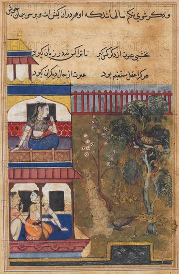 Page from Tales of a Parrot (Tuti-nama): Thirty-ninth night: The queen of Rum watches the peahen prefer to burn rather than abandon her eggs while the peacock flees the nest, c. 1560. India, Mughal, Reign of Akbar, 16th century. Opaque watercolor, ink and gold on paper