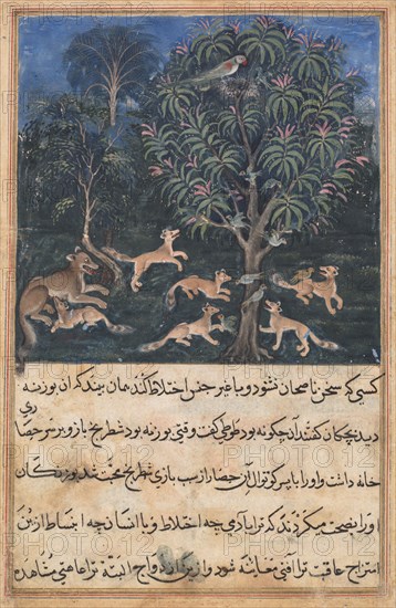 Page from Tales of a Parrot (Tuti-nama): Fifth night: The parrot mother cautions her young on the danger of playing with foxes, c. 1560. Daswanth (Indian). Opaque watercolor, gold and ink on paper;