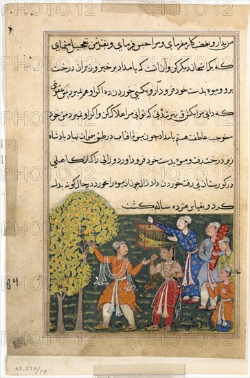 Page from Tales of a Parrot (Tuti-nama): Ninth night: The king plucks fruit from the Tree of Life with his own hands and feeds it to a lady, c. 1560. India, Mughal, Reign of Akbar, 16th century. Opaque watercolor, ink and gold on paper; overall: 20 x 13.4 cm (7 7/8 x 5 1/4 in.).