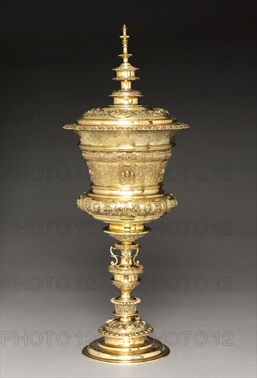 Standing Cup, mid-late 1500s. After a design by Virgilius Solis (German, 1514-1562). Gilt silver; overall: 50.8 x 20.4 cm (20 x 8 1/16 in.).