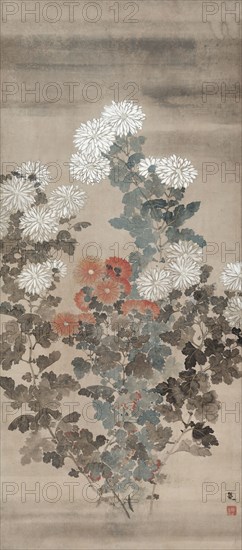 Chrysanthemums, mid 1600s. Kitagawa Sosetsu (Japanese, active 1639-50). Hanging scroll; ink and color on paper; image: 127 x 57.2 cm (50 x 22 1/2 in.); overall: 190 x 65 cm (74 13/16 x 25 9/16 in.).