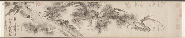 Old Pine Tree, late 1530s. Wen Zhengming (Chinese, 1470-1559). Handscroll, ink on paper; overall: 29.8 cm (11 3/4 in.); painting only: 27.3 x 138.8 cm (10 3/4 x 54 5/8 in.).