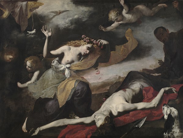 Venus Discovering the Dead Adonis, c. 1650. Italy, Naples, 17th century. Oil on canvas; framed: 213.5 x 268.7 x 8 cm (84 1/16 x 105 13/16 x 3 1/8 in.); unframed: 184.4 x 238.8 cm (72 5/8 x 94 in.).