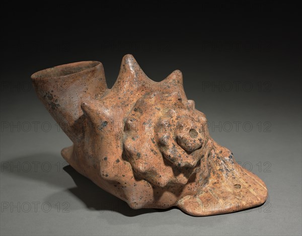 Conch Shell Trumpet Vessel, 200 BC-300. West Mexico, Colima, Comala style (200 BC-AD 300). Earthenware; overall: 15.5 x 23.5 x 26.6 cm (6 1/8 x 9 1/4 x 10 1/2 in.).
