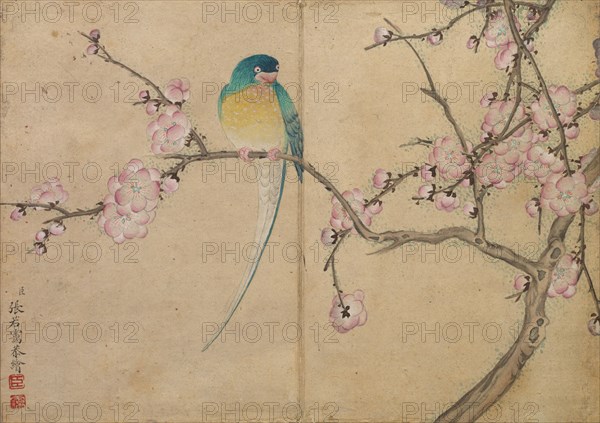 Desk Album: Flower and Bird Paintings (Bird with Plum Blossoms), 18th Century. Zhang Ruoai (Chinese). Album leaf, ink and color on paper; image: 14.4 x 20.3 cm (5 11/16 x 8 in.); album, closed: 15 x 10.8 x 3 cm (5 7/8 x 4 1/4 x 1 3/16 in.).