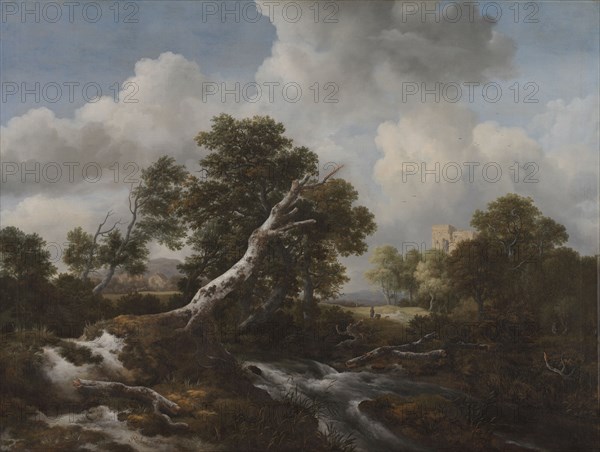 Low Waterfall in a Wooded Landscape with a Dead Beech Tree, c. 1660-1670. Jacob van Ruisdael (Dutch, 1628/29-1682). Oil on canvas; framed: 123 x 157 x 9.5 cm (48 7/16 x 61 13/16 x 3 3/4 in.); unframed: 99.2 x 131 cm (39 1/16 x 51 9/16 in.).