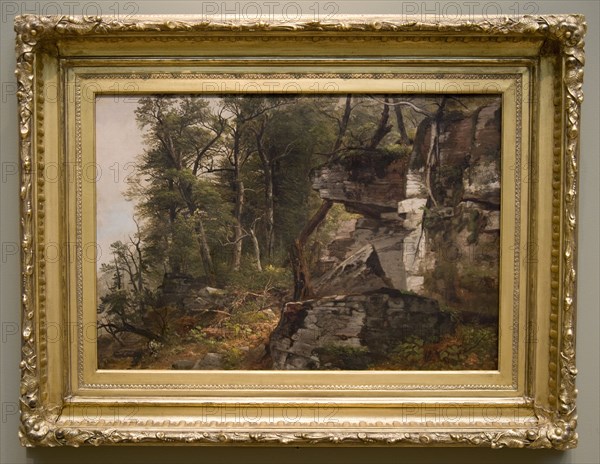 Trees on a Rocky Hillside, c. 1849. Asher Brown Durand (American, 1796-1886). Oil on canvas; framed: 64.8 x 83.2 x 7.9 cm (25 1/2 x 32 3/4 x 3 1/8 in.); unframed: 42.5 x 61.3 cm (16 3/4 x 24 1/8 in.); former: 53.5 x 72 x 6.5 cm (21 1/16 x 28 3/8 x 2 9/16 in.).