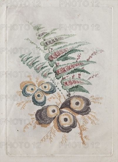 New Suite of Portfolios of Flowers Ideal to Use for Designing and Painting: Floral Fantasies, c. 1796. Anne Allen (British), after Jean Baptiste Pillement (French, 1728-1808). Color etching; platemark: 19.6 x 14 cm (7 11/16 x 5 1/2 in.)