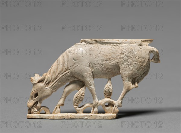 Decorative Plaque: Browsing Stag, 900-800 BC. Phoenician, Iraq, Nimrud, 9th-8th Century BC. Ivory; overall: 4.5 x 8.9 cm (1 3/4 x 3 1/2 in.).