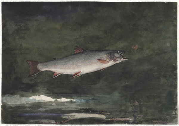 Leaping Trout, 1889. Winslow Homer (American, 1836-1910). Watercolor over graphite; sheet: 35 x 50.6 cm (13 3/4 x 19 15/16 in.).