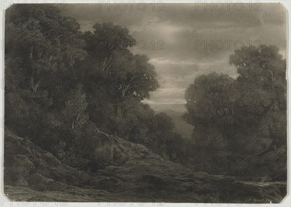 Landscape with Trees. Jean-Philippe George (Swiss, 1818-1888). Sepia wash heightened with white