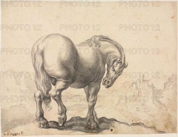 Study of a Stallion, first third 18th century?. Giovanni Battista Foggini (Italian, 1652-1725). Black chalk and brush and gray wash; sheet: 19 x 24.6 cm (7 1/2 x 9 11/16 in.); secondary support: 28.1 x 34.7 cm (11 1/16 x 13 11/16 in.).