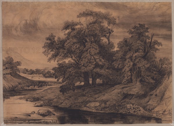 Landscape with Large Trees, late 1860s/early 1870s. Gustave Courbet (French, 1819-1877). Black crayon (stumped in sky); sheet: 38.1 x 52.9 cm (15 x 20 13/16 in.).