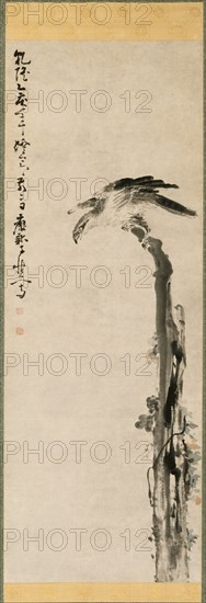 Eagle on a Tree Trunk, 1755. Huang Shen (Chinese, 1687-1772). Hanging scroll, ink and color on paper; image: 123.3 x 45 cm (48 9/16 x 17 11/16 in.); overall with knobs: 213 x 67.3 cm (83 7/8 x 26 1/2 in.).