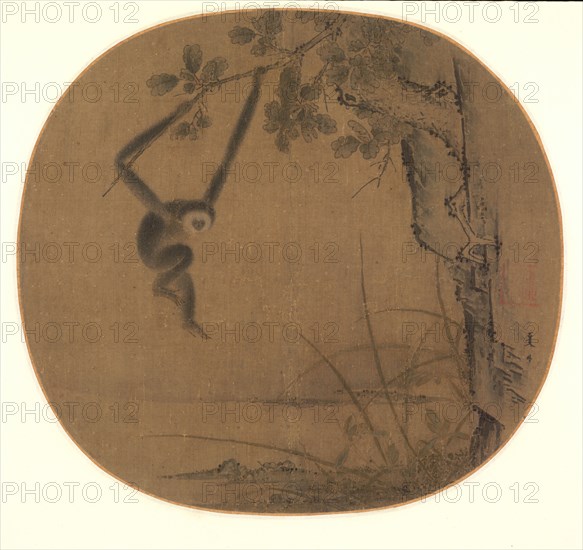 Swinging Gibbon, late 1100s- 1st quarter 1200s. Attributed to Xia Gui (Chinese, active c. 1209-c.1243). Album leaf, ink and color on silk; image: 24.8 x 26.5 cm (9 3/4 x 10 7/16 in.).