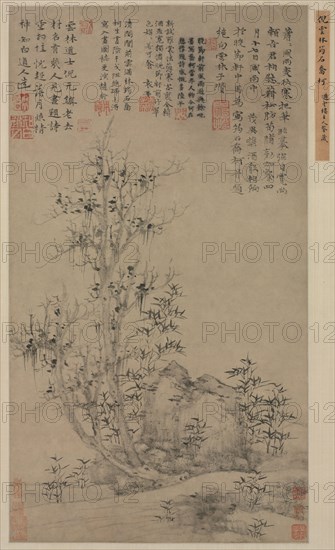 Bamboo, Rock, and Tall Tree, c. 1300s. Ni Zan (Chinese, 1301-1374). Hanging scroll, ink on paper; image: 67.3 x 36.8 cm (26 1/2 x 14 1/2 in.); overall with knobs: 231.4 x 64.2 cm (91 1/8 x 25 1/4 in.).