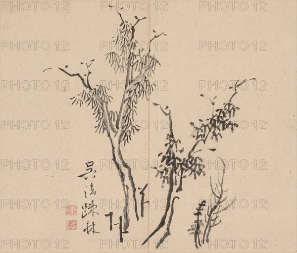 Double Album of Landscape Studies after Ikeno Taiga, Volume 1 (leaf 5), 18th century. Aoki Shukuya (Japanese, 1789). Pair of albums; ink, or ink and light color on paper; album, closed: 28.3 x 33 cm (11 1/8 x 13 in.).