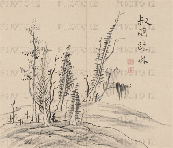 Double Album of Landscape Studies after Ikeno Taiga, Volume 2 (leaf 17), 18th century. Aoki Shukuya (Japanese, 1789). Pair of albums; ink, or ink and light color on paper; album, closed: 28.3 x 33 cm (11 1/8 x 13 in.).