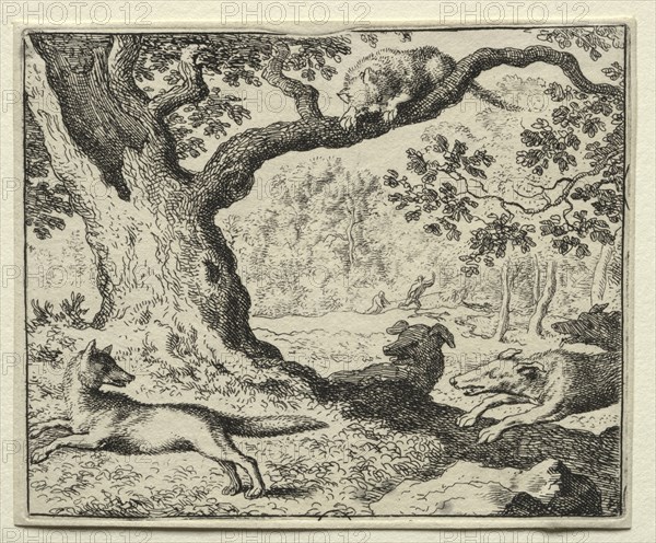 Reynard the Fox:  The Disloyal Cat. Allart van Everdingen (Dutch, 1621-1675). Etching