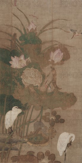 Lotuses, Insects, and Birds, possibly 1500s. China, Ming dynasty (1368-1644). Hanging scroll, ink and color on silk; image: 112.6 x 57.5 cm (44 5/16 x 22 5/8 in.); overall: 174.5 x 77.5 cm (68 11/16 x 30 1/2 in.).