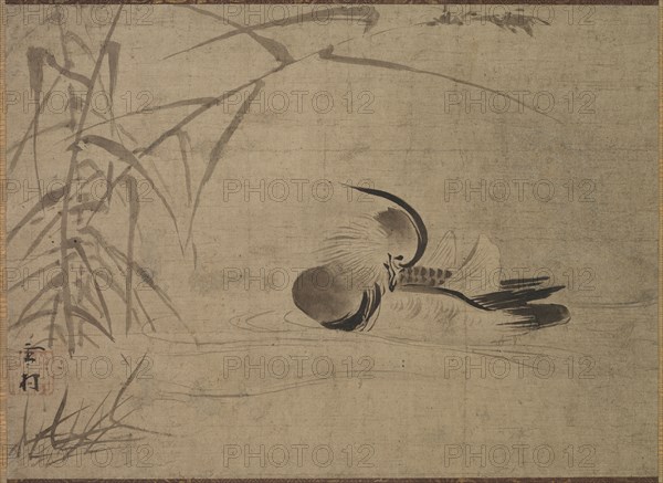 Mandarin Duck, 1500s. Sesson Shukei (Japanese, 1504-1589). Hanging scroll; ink on paper; painting only: 30 x 41.4 cm (11 13/16 x 16 5/16 in.); including mounting: 110 x 58.4 cm (43 5/16 x 23 in.).