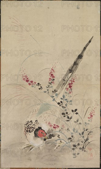 Pheasant and Grasses, late 17th-early 18th century. Attributed to Ogata Korin (Japanese, 1658-1716). Hanging scroll; ink and color on paper; overall: 134.6 x 43.5 cm (53 x 17 1/8 in.); painting only: 61.3 x 36.8 cm (24 1/8 x 14 1/2 in.).