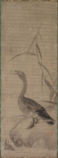 Goose, 17th century. Japan, Edo period (1615-1868). Hanging scroll; ink on paper; overall: 98.9 x 35.5 cm (38 15/16 x 14 in.).