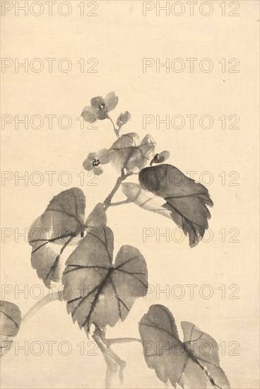 Branch of Begonia in Bloom. Kono Bairei (Japanese, 1844-1895). Ink on paper; sheet: 39.4 x 26.7 cm (15 1/2 x 10 1/2 in.).