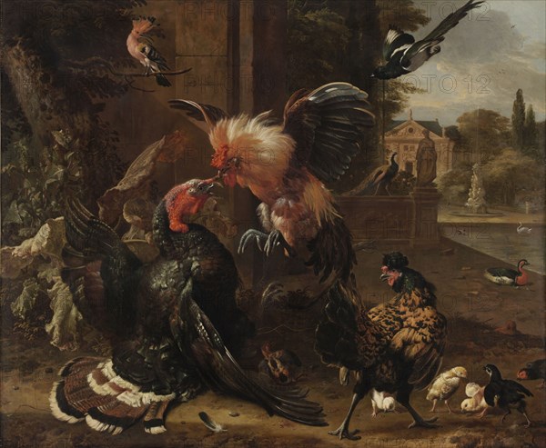 A Rooster and Turkey Fighting, c. 1680. Melchior de Hondecoeter (Dutch, 1636-1695). Oil on canvas; framed: 164.5 x 193 x 10 cm (64 3/4 x 76 x 3 15/16 in.); unframed: 137.2 x 166.4 cm (54 x 65 1/2 in.).