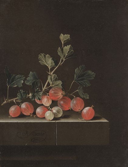 Gooseberries on a Table, 1701. Adriaen Coorte (Dutch, c. 1660-aft 1707). Oil on paper mounted on wood; framed: 45.5 x 38.5 x 4.5 cm (17 15/16 x 15 3/16 x 1 3/4 in.); unframed: 29.7 x 22.8 cm (11 11/16 x 9 in.).
