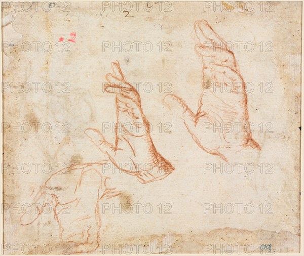 Study of Hands (verso), c. 1590. Camillo Procaccini (Italian, 1546-1629). Red chalk; sheet: 16.5 x 19.4 cm (6 1/2 x 7 5/8 in.); secondary support: 26.7 x 30.7 cm (10 1/2 x 12 1/16 in.).